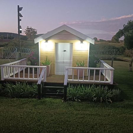 Bed and Breakfast Little Tree Loft 2 Uitenhage Esterno foto